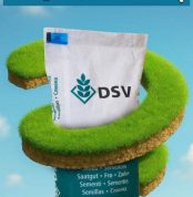 WhatsApp Image 2026-02-08 at 12.26.48