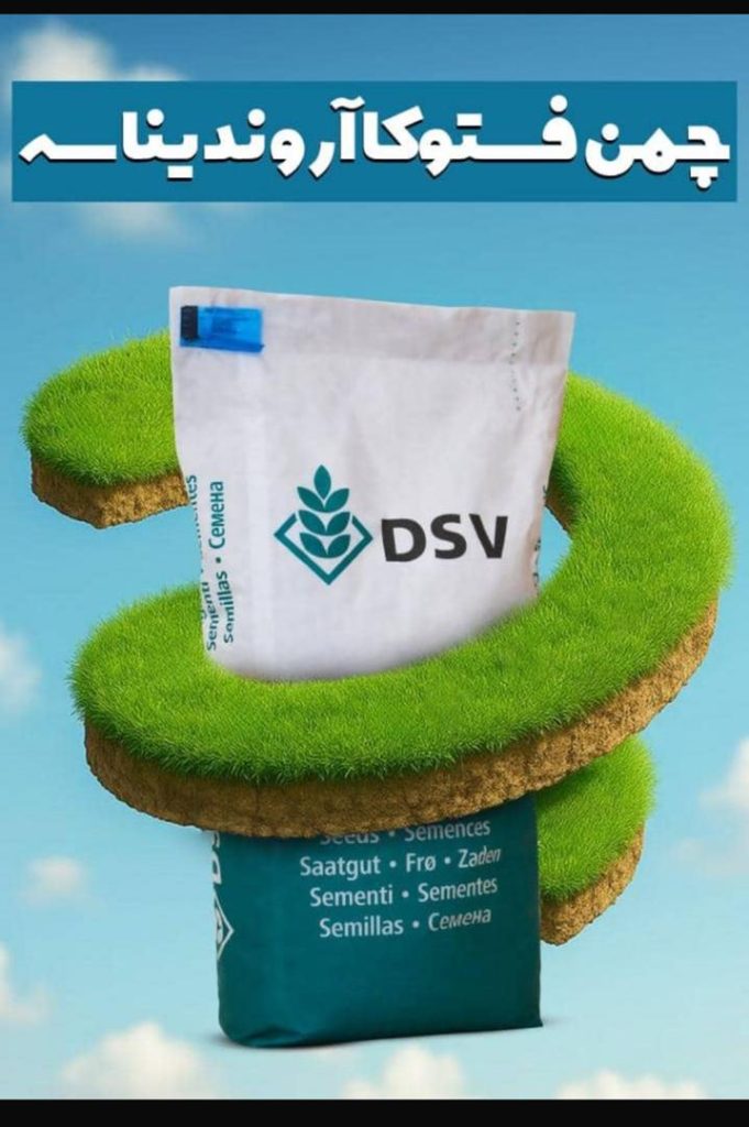 بذر چمن لولیوم پرنه ترف گلد،۱۰۰٪ لولیوم – DSV آلمان، بسته بذر